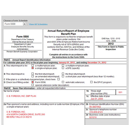 Form 5500